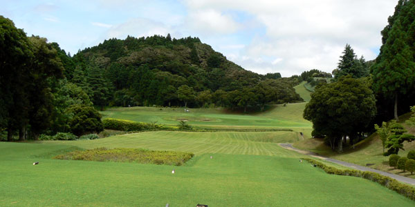 �����Q�g